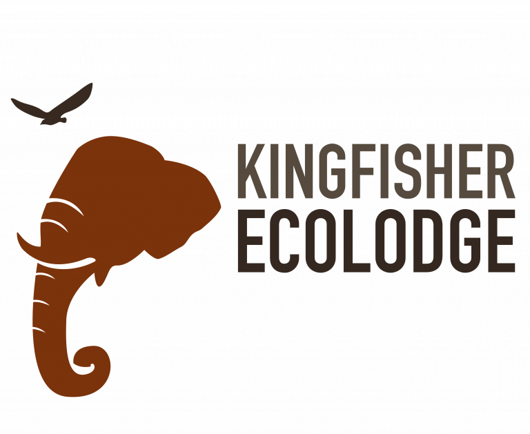 KE Logo top color 768x629