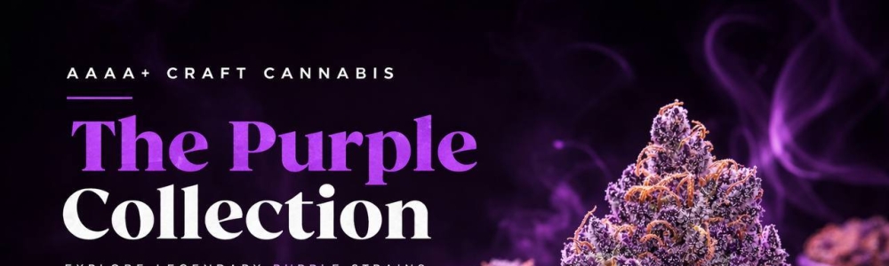 User banner image